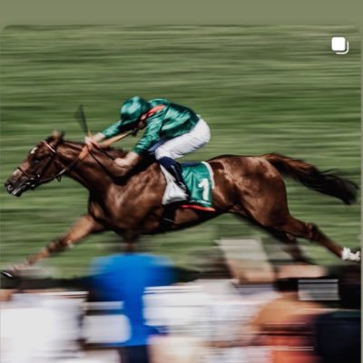 mickaelbarzalon's profile picture. French jockey