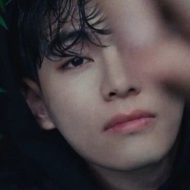 winterbearkimth's profile picture. @BTS_twt

Tae biased💜BTS