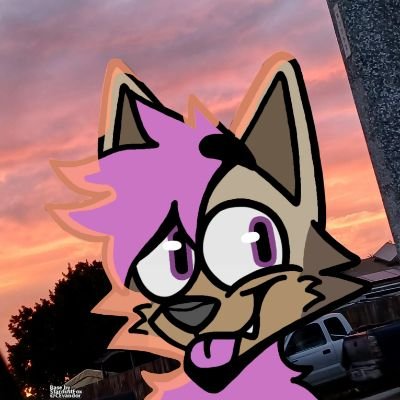 Fernand20576141's profile picture. 