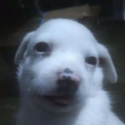 soawmi's profile picture. ⠀ ⠀⠀⠀⠀ ⠀ ⠀ ⠀  ⠀⠀  ⠀ ⠀  ⠀⠀⠀ ⠀ ⠀ ⠀   ⠀  ⠀⠀⠀⠀⠀⠀⠀⠀⠀⠀ ⠀ ☠︎︎⋆ ׅ࣪⸳ @imwaos @notwaos⠀ ⠀⠀⠀⠀⠀ ⠀⠀ ⠀⠀ ⠀⠀⠀⠀ ⠀⠀⠀⠀ ⠀  ⠀⠀⠀⠀⠀⠀⠀⠀⠀⠀⠀ ⠀⠀ ⠀⠀ ⠀⠀ ⠀