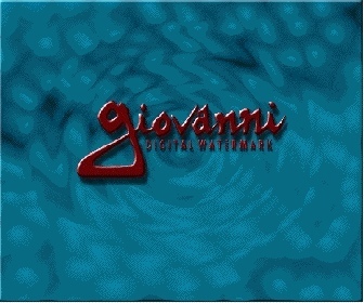 blue_spike's profile picture. innovations in content management & data security