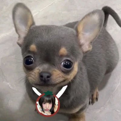 @sleepypr0y_zzz