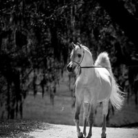 صلاح (@hwu79352) 's Twitter Profile