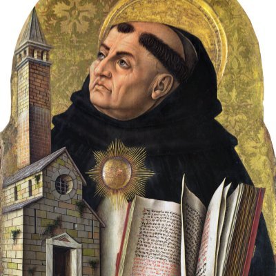 Glennalbert's profile picture. El hombre actúa porque es un ser racional y libre, cuya naturaleza está ordenada a la verdadera felicidad que consiste en el conocimiento y el amor de Dios🇻🇦✝