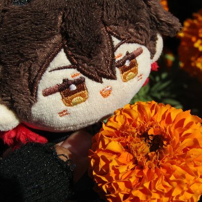 p6598e's profile picture.
