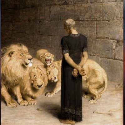 enfantd6r's profile picture. Curious individual. I like to think & learn