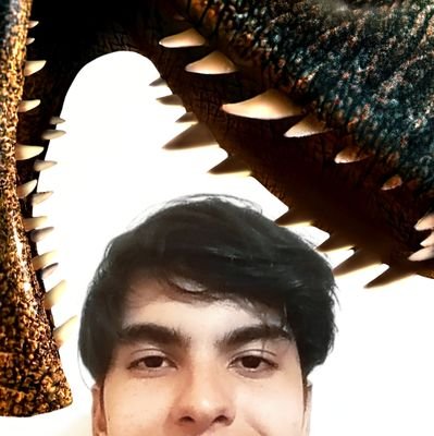 NobreJuanArt's profile picture. 🇧🇷🎨🦖

Wildlife artist past and present...

Scientific Illustrator and Paleoartist

19 Ma

✉️: juanlophosau@gmail.com