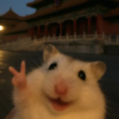 Wt_horimashi's profile picture. 