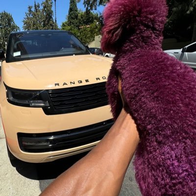 ZaneFifty's profile picture. x