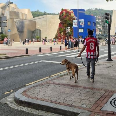 AdegadoIsla's profile picture. A veces escribo, otras muchas juego. Manqueando en iRacing en https://t.co/OTEXTMjPq6