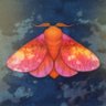 psychicmoth's profile picture. just a moth • artist of some of the finest yaoi in the (ph)land 🎨 • 33 yo. • she/her