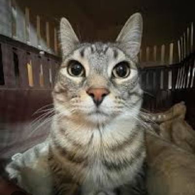 OleksandrK31812's profile picture. 