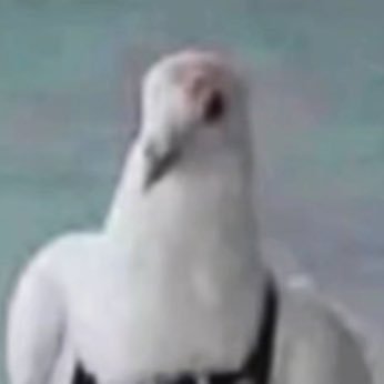 cowgomoo65's profile picture. 