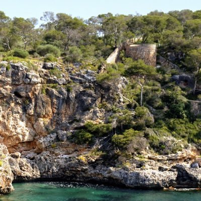 Jay_z5's profile picture. 👀