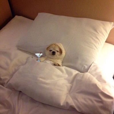 snuffmumi's profile picture. i want my future to be with you @taegispace | she/they ♡ 23