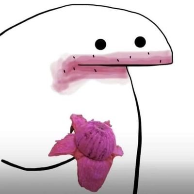 Avrcys's profile picture. 