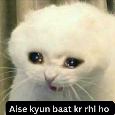 ChillCatMode's profile picture. 