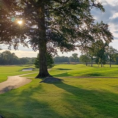 billhaidinger's profile picture. Golf Guru