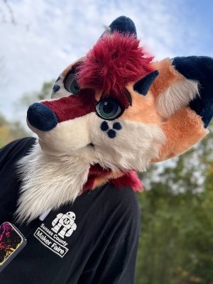 DeadMetal001's profile picture. 🏳️‍🌈 | fox/dragon | Airsoft | Robot Fighter | Vrchat | nfl fan | 20 | single | DMs Open | 🔞| No Minors | horny, subby little fox 🦊 | bottom Open for Collabs