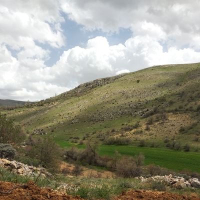 MehmetO28444073's profile picture. 