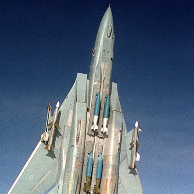 ya_boi_tomcat's profile picture. Nothing much here, just your average guy, 22 yo, military equipment fan, NSFW, moving on. Also Heroyam Slava! E Plurus Unum! Und Einigkeit, Recht, und Freiheit!