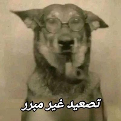 iwouldntworry's profile picture. Truth is all we have. Reasonable Moderate #GodBlessTheSun 🤠🤑🦁🦍🌻🌲🦕🐋🦅🕊🐦‍⬛🕸🐜🍻🌍🌎🌏