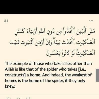 OsamaO20794's profile picture. 