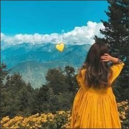 driverhern85563's profile picture. 