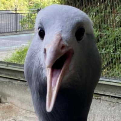 MegaloMakoArt's profile picture. i just lurk now