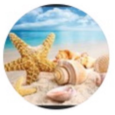 tur42030207's profile picture. Journalist with overview and intuition