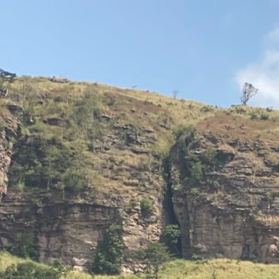 dery_elijah's profile picture. 📈📉 Email: @elijahdery643@gmail.com.