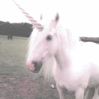 c4sn0v4's profile picture. 