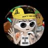 roaldthaDegen's profile picture. $SOLANA