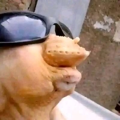 kithunga118's profile picture. very long... its a story to be told in series