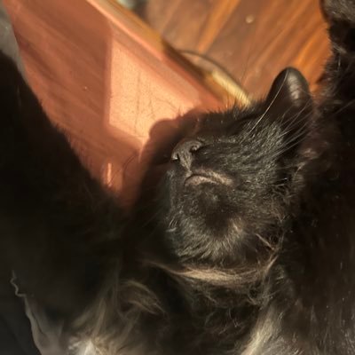 Bethyrosep00's profile picture. 