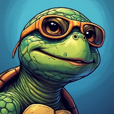 ShellmanTurtle's profile picture. Finder of crypto gems 💎