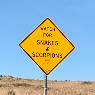 tuchbt's profile picture. Jeeps, Utes, Padres 🚫trump