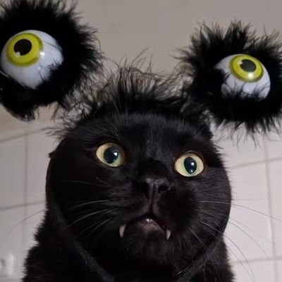 gatojinglebells's profile picture. falando merda no twitter e tentando ser aprovado em medicina enquanto espero o apocalipse
RONAEBSON 🏷 - GATOJB