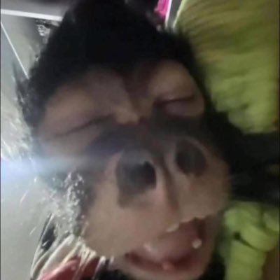 savali333's profile picture. 