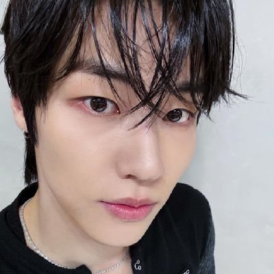 MoonFirefly7's profile picture. #엔플라잉 ~✨ 2025.10.04 💙