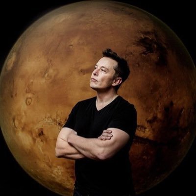 neuralinkchat4's profile picture. Co-founder of X, Founder of SpaceX, Nueralink and CEO of Tesla Motors