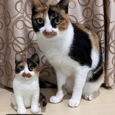 912akrsa's profile picture. 