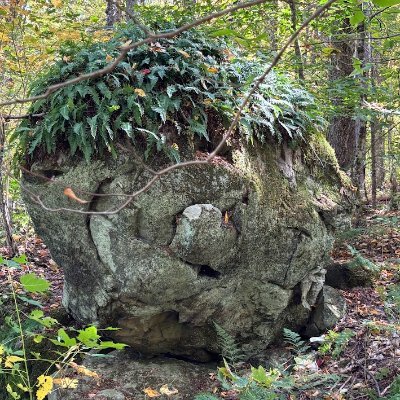 ashbyw99's profile picture. a dad, a husband, a protagonist