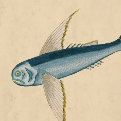 BustedIQ's profile picture. I hunt patterns