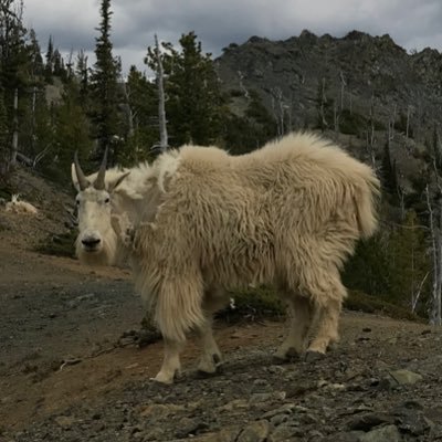 epiploicae_23's profile picture. 