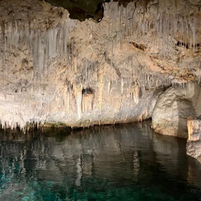 dwannanicole's profile picture. 