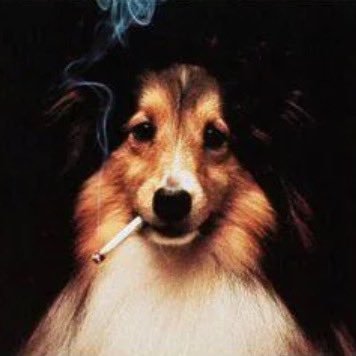 marywanaz's profile picture. twitter user (toxic edition)