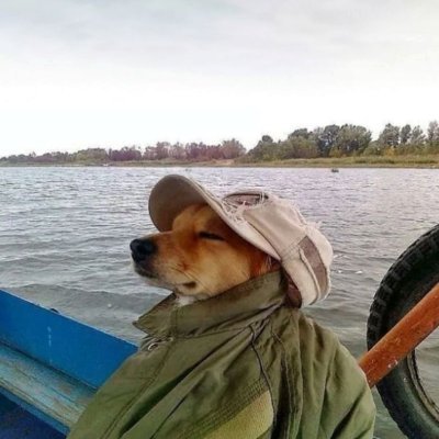 sp25m1's profile picture. BA & Finance student.