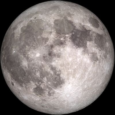 LIDK_k's profile picture. 