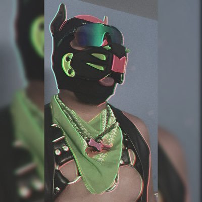 @pupmirage